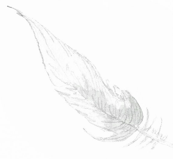 80ème liste :  Un duvet de plumes