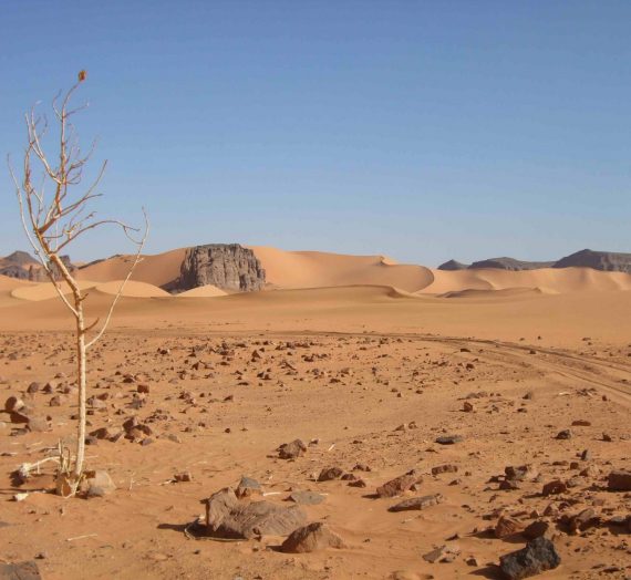 Episode 6 : Le sable du Sahara