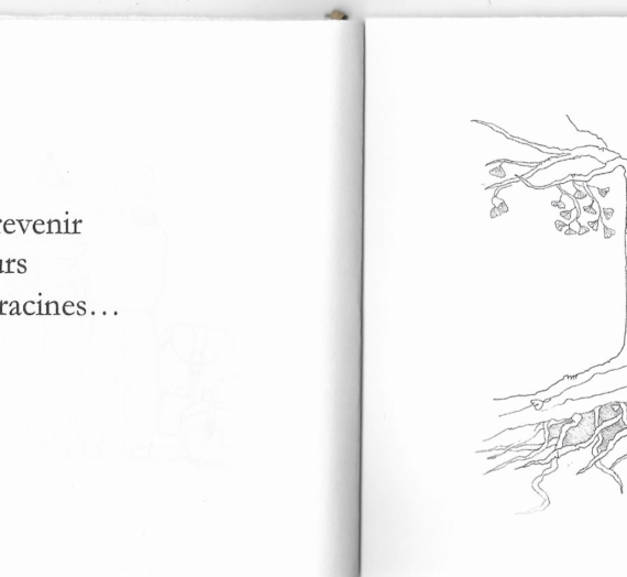 Rêver sous les nuages…